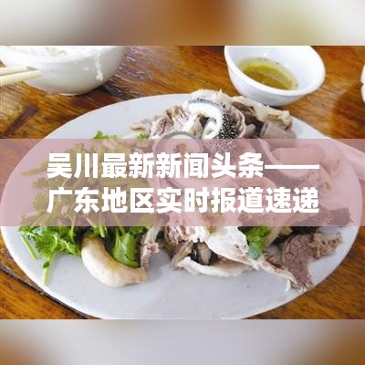 吴川最新新闻头条——广东地区实时报道速递