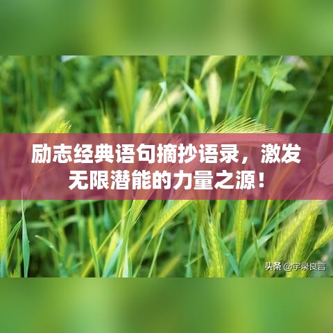 励志经典语句摘抄语录，激发无限潜能的力量之源！