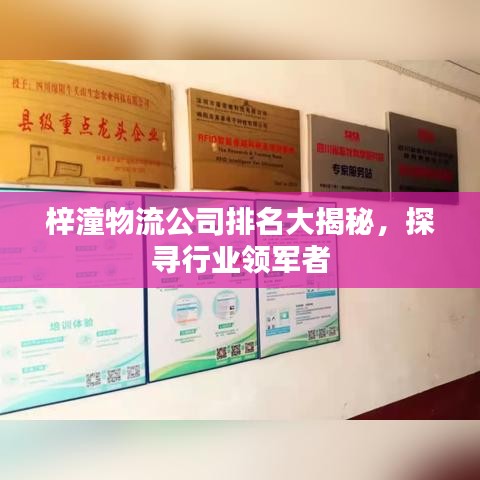 梓潼物流公司排名大揭秘，探寻行业领军者