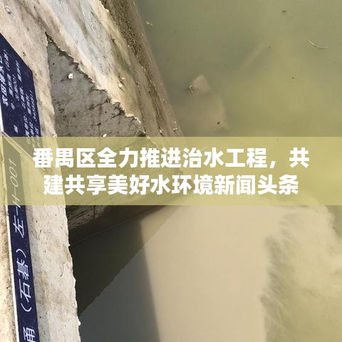 番禺区全力推进治水工程，共建共享美好水环境新闻头条