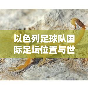 以色列足球队国际足坛位置与世界排名深度解析