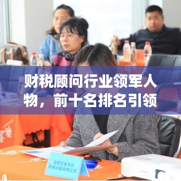 财税顾问行业领军人物，前十名排名引领行业发展潮流