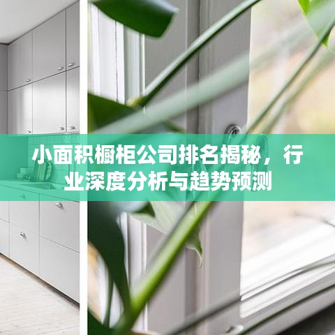 小面积橱柜公司排名揭秘，行业深度分析与趋势预测