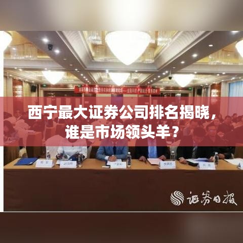 西宁最大证券公司排名揭晓，谁是市场领头羊？