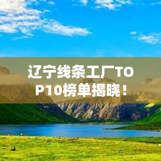 辽宁线条工厂TOP10榜单揭晓！