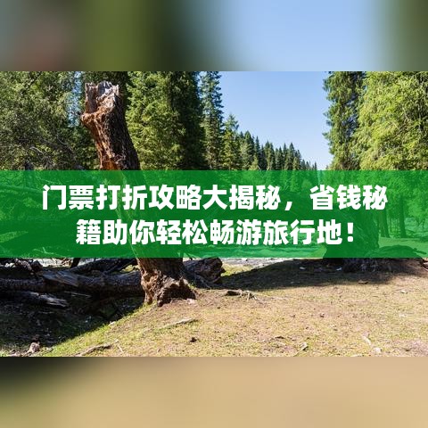 门票打折攻略大揭秘，省钱秘籍助你轻松畅游旅行地！