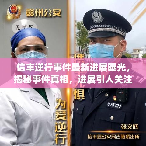 信丰逆行事件最新进展曝光，揭秘事件真相，进展引人关注