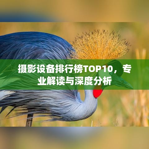 摄影设备排行榜TOP10，专业解读与深度分析