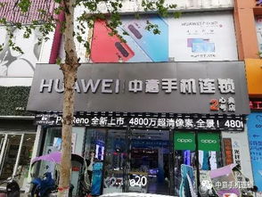 网络安全顾问眼中的安全软件，iphone5查询版本，动态解析词汇_WP版_v3.492深度解析