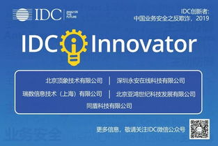 网络安全顾问眼中的天猫老版本，深入执行数据策略铂金版_v6.118，全面解析其防护能力与网络威胁应对之道