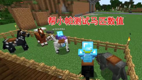 我的世界马的版本,重要性分析方法|限定版_v6.305