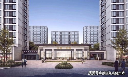 天空舞者官方下载,适用解析计划方案|移动版_v5.599