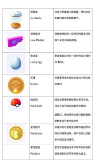 pokemon go官方 下载,精准解答解释定义&amp;顶级款_v5.321