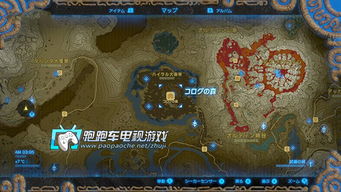 金币版本传奇,诠释分析定义&amp;bundle_v7.304