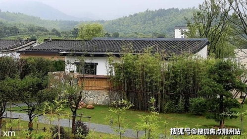 淘词助手官方下载,重要性解析方法|3DM_v10.211