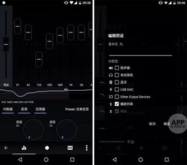皮皮播放器下载 官方,可靠设计策略解析&amp;策略版_v5.123