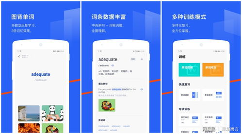 备考族官方下载软件介绍，全面分析解释定义_3K_v6.258版