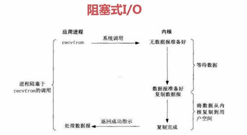 多看版本,实证研究解释定义_D版_v1.293