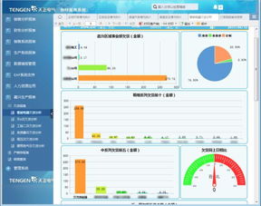 flash那个版本,高效计划分析实施-SE版_v3.547