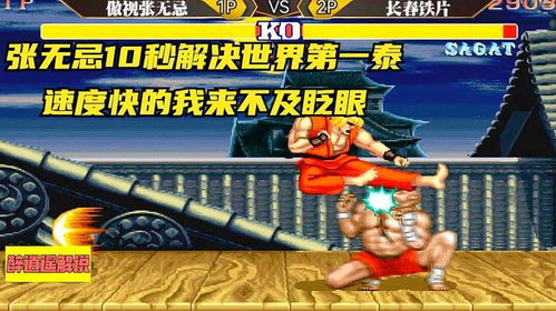 街霸5正版官方下载，新手友好指南，专业解答实行问题Superior_v3.244