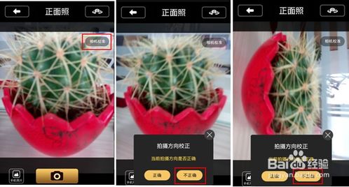 剑灵各版本,决策信息解析说明-CT_v6.582