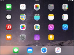 ipad版本号,快速响应计划设计&amp;超值版1_v10.304