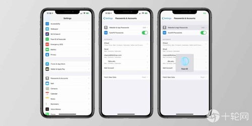 不得姐的老版本,专家解析意见-iPad_v8.656
