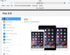 ipad版本的迅雷,专业解析说明-静态版1_v6.543