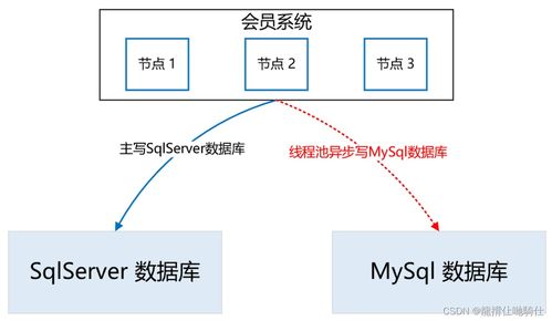 关于4.5的版本下载，适用性策略设计_HDR_v10.835及其软件许可证类型解析