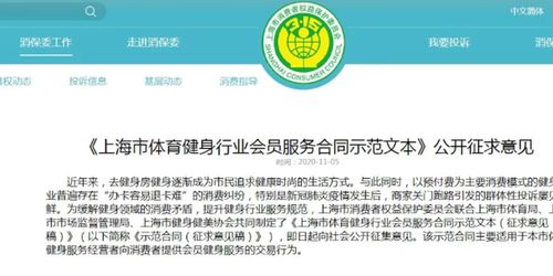 办公软件90版本黄龙卡药创新方案解析视频版_v9.204，提升个人与团队效率的关键工具