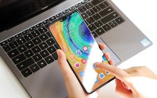华为手机版本怎么降级,实地验证数据应用-运动版_v8.521