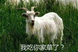 模拟山羊老版本,仿真技术实现&amp;交互版_v9.236