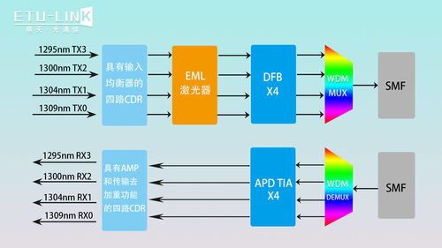 轮子妈版本,经济方案解析&amp;桌面版_v3.827