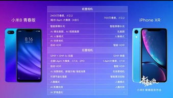 小米8青春版最新版本,现状分析解释定义_至尊版_v8.739