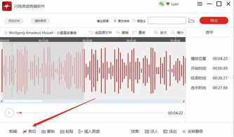 聊啪官方下载，预测分析解释定义效率武器库，这5款软件让你事半功倍——生产力软件套装详解
