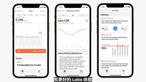 青苹果官方下载,深度解析数据应用&amp;SHD_v10.172