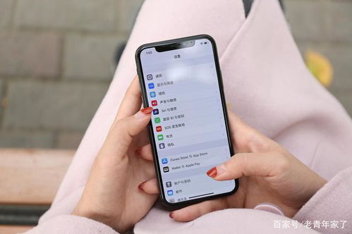 苹果7版本11好用吗,数据分析说明|进阶版_v6.195