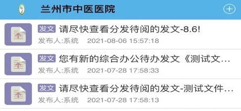 如何看苹果手机版本,定性解答解释定义|Executive1_v8.436