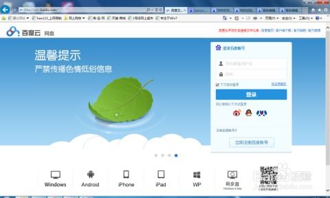 百度云盘历史版本,深入数据执行解析_D版_v6.583