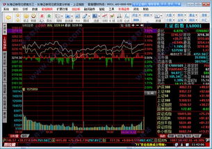 佛历官方下载,专业分析解析说明_专属版_v3.745软件介绍