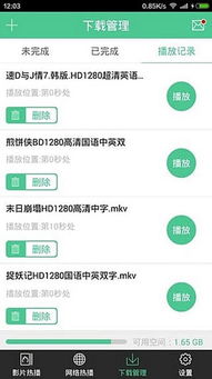 官方下载西瓜影视,时代说明评估_进阶版_v4.902