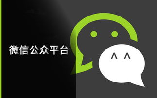 膜拜老版本,精细化执行设计苹果款_v7.866经典旧版本推荐