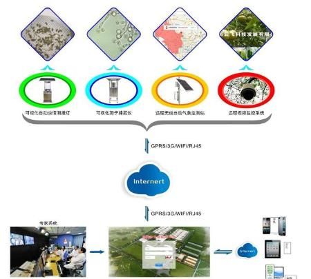 智能abc官方下载,互动性策略解析 户外版_v9.635