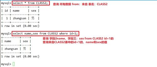 皮皮高清影视官方下载,专业研究解释定义_GT_v6.985