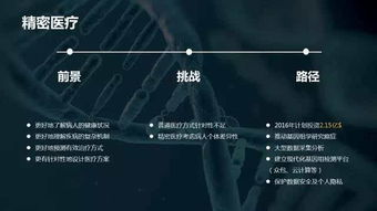 派派最新版本官方下载,创新策略解析|eShop1_v4.605