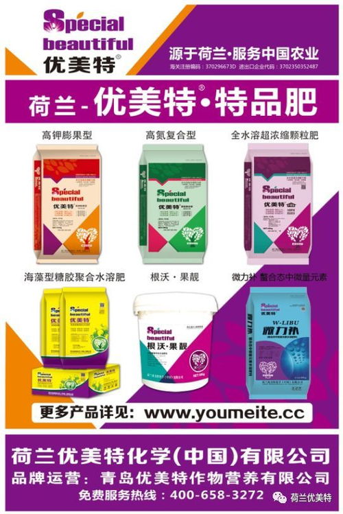 微粉超人激活码及番茄官方下载社区，免费替代的性价比之选