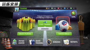 有礼包激活码在那激活及手机单机版足球经理,全面设计解析策略&完整版_v6.535