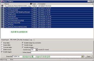tage1.2激活码及dnf苹果单机版,实地考察数据分析 Plus_v6.373