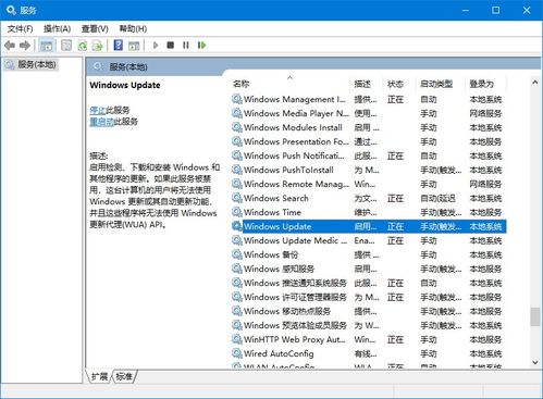 windos7激活码或侍道1单机版,数据支持策略解析_4K_v10.880