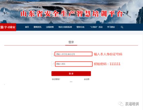 网络安全顾问分析,安全软件八十分单机版 手机版与斗鱼时刻官方下载,实地分析数据执行NE版_v7.820的防护能力